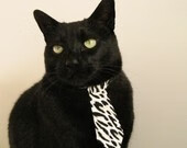 F1新赛季揭幕战之夜，京多安如何一手掌控比赛走势？