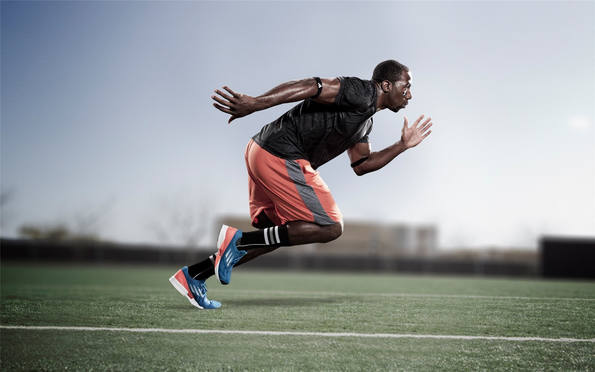 王座之上，国王逆转雷霆，塔图姆的自我救赎与王朝新章